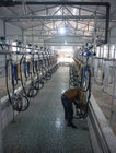 Automatische Melkende de Visgraat Melkende Woonkamer van de Stroommeter voor Melkveehouderij