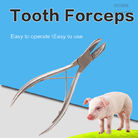 Duurzame Tanden die Buigtang voor Konijn, de Tanden van het Roestvrij staalvarken het Knippen snijden