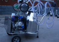 De Koe Melkende Machine van de dieselmotor Dubbele Emmer met Elektrische Motor/Pulsometer