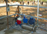 Koeien/Schapen de Draagbare Melkende Machine van het Emmeraluminium met Sanitaire Emmer